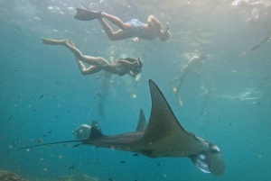 From Bali: Nusa Penida Manta Rays Snorkel Private Boat Tour