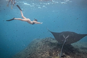 From Bali: Nusa Penida Manta Rays Snorkel Private Boat Tour