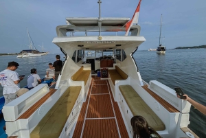 From Bali: Nusa Penida Manta Rays Snorkel Private Boat Tour