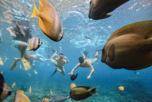 From Bali: Nusa Penida Manta Rays Snorkel Private Boat Tour