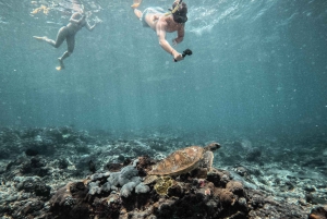 From Bali: Nusa Penida Manta Rays Snorkel Private Boat Tour