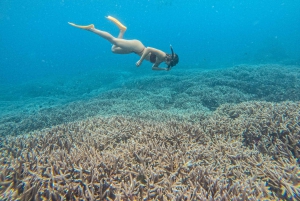 From Bali: Nusa Penida Manta Rays Snorkel Private Boat Tour