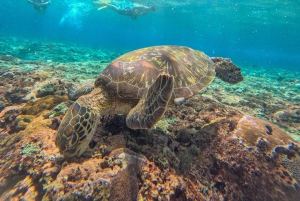 From Bali: Nusa Penida Manta Rays Snorkel Private Boat Tour