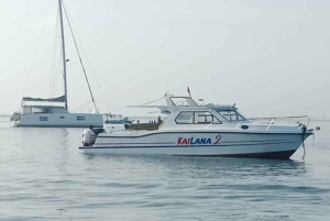 From Bali: Nusa Penida Manta Rays Snorkel Private Boat Tour