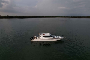 From Bali: Nusa Penida Manta Rays Snorkel Private Boat Tour