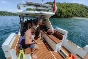 Balilta: Nusa Penidan manttojen snorklaus ja yksityinen venekierros