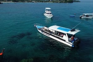 Fra Bali: Nusa Penida Privat omvisning med snorkling og landtur