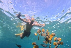 Fra Bali: Nusa Penida Privat omvisning med snorkling og landtur