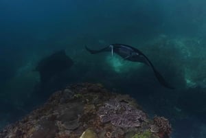 Balilta: Nusa Penida Yksityinen snorklauskierros lounaalla.