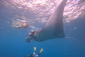 Da Bali: tour di snorkeling in 3 punti a Nusa Penida con GoPro e kayak