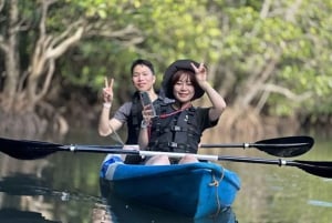 Da Bali: tour di snorkeling in 3 punti a Nusa Penida con GoPro e kayak