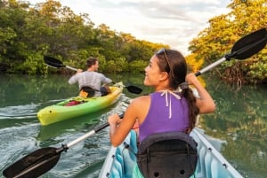 Da Bali: tour di snorkeling in 3 punti a Nusa Penida con GoPro e kayak