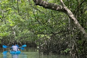 Da Bali: tour di snorkeling in 3 punti a Nusa Penida con GoPro e kayak