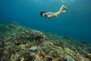 Da Bali: tour di snorkeling in 3 punti a Nusa Penida con GoPro e kayak
