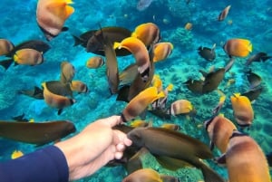 Da Bali: tour di snorkeling in 3 punti a Nusa Penida con GoPro e kayak