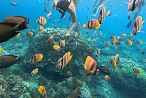 Da Bali: tour di snorkeling in 3 punti a Nusa Penida con GoPro e kayak
