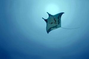 From Bali: Nusa Penida Snorkel 3 Spots w/ GoPro & Kayak tour