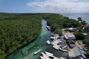 From Bali: Nusa Penida Snorkel 3 Spots w/ GoPro & Kayak tour