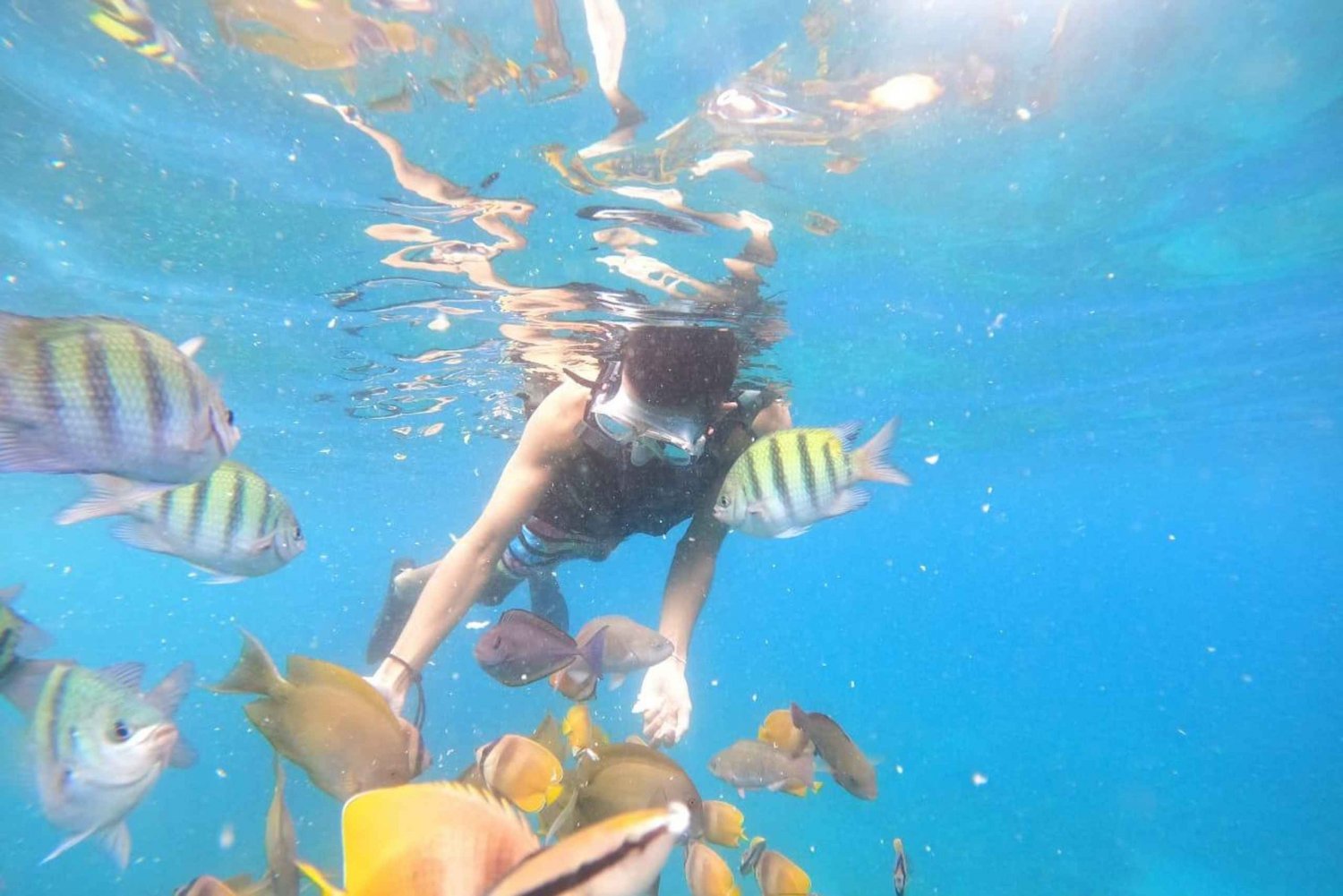 From Bali: Nusa Penida Tour with Private Snorkeling & Lunch
