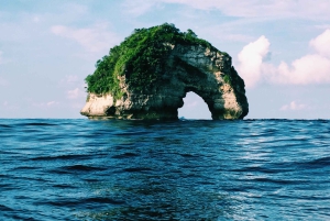 From Bali: Nusa Penida VIP Speedboat & Beach Club Day Trip