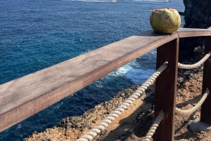 From Bali: Nusa Penida VIP Speedboat & Beach Club Day Trip