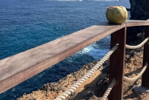 From Bali: Nusa Penida VIP Speedboat & Beach Club Day Trip