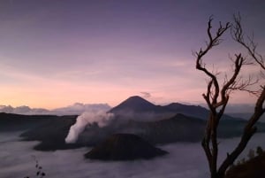 バリ島発：ブロモ山とイジェン山オープントリップ（3日2泊）