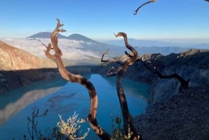 バリ島発：ブロモ山とイジェン山オープントリップ（3日2泊）
