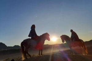バリ島発：ブロモ山とイジェン山オープントリップ（3日2泊）