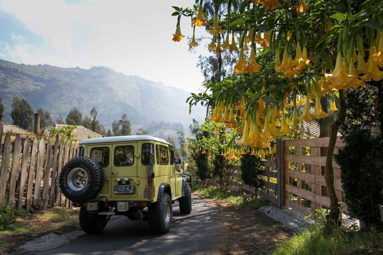 Desde Bali o Java: Bromo y Kawah Ijen: aventura de 3 días
