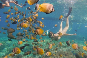 From Bali: Penida 3-Spots Manta Snorkel & Guyangan Waterfall