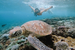 From Bali: Penida 3-Spots Manta Snorkel & Guyangan Waterfall