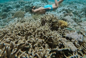 From Bali: Penida 3-Spots Manta Snorkel & Guyangan Waterfall