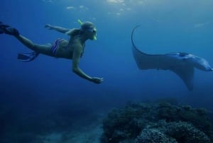 De Bali: Tour particular em terra e com snorkel em Nusa Penida