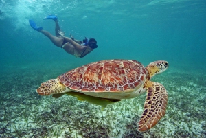 From Bali: 3-Day Gili Islands Tour with Private Snorkeling