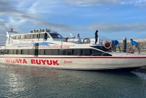 Desde Bali: Excursión Privada de Día Completo al Oeste de Nusa Penida