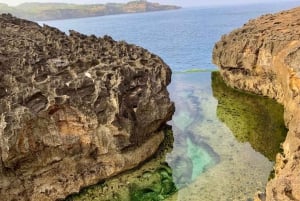 Desde Bali: Excursión Privada de Día Completo al Oeste de Nusa Penida