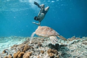 Von Bali aus: Privat Gili Islands Schnorcheln All-Inclusive