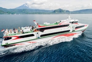 Z Bali: Prywatne nurkowanie na wyspach Gili All-Inclusive