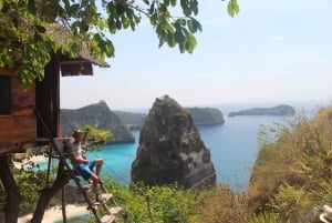 From Bali: Private Tour East Nusa Penida Day Trip