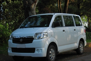 From Bali: Private Tour Highlights East and West Nusa Penida