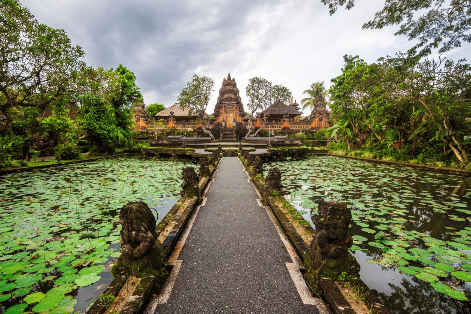 From Bali: Saraswati Temple, Monkey Forest, Ubud Waterfalls