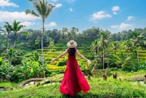 From Bali: Saraswati Temple, Monkey Forest, Ubud Waterfalls