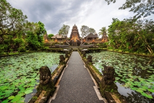 From Bali: Saraswati Temple, Monkey Forest, Ubud Waterfalls