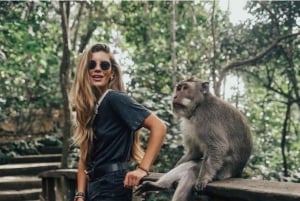 From Bali: Saraswati Temple, Monkey Forest, Ubud Waterfalls