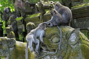 From Bali: Saraswati Temple, Monkey Forest, Ubud Waterfalls