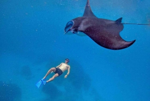 From Bali: Snorkeling 3 Spots with GoPro & West Penida Tour