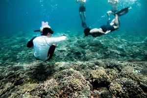From Bali: Snorkeling 3 Spots with GoPro & West Penida Tour