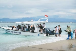 From Bali: Snorkeling 3 Spots with GoPro & West Penida Tour