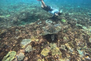 From Bali: Snorkeling 3 Spots with GoPro & West Penida Tour